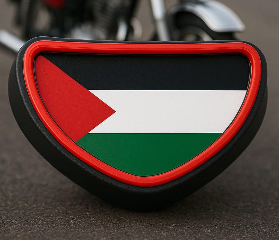 Palestine Flag Back Light Cover – 70cc/125cc